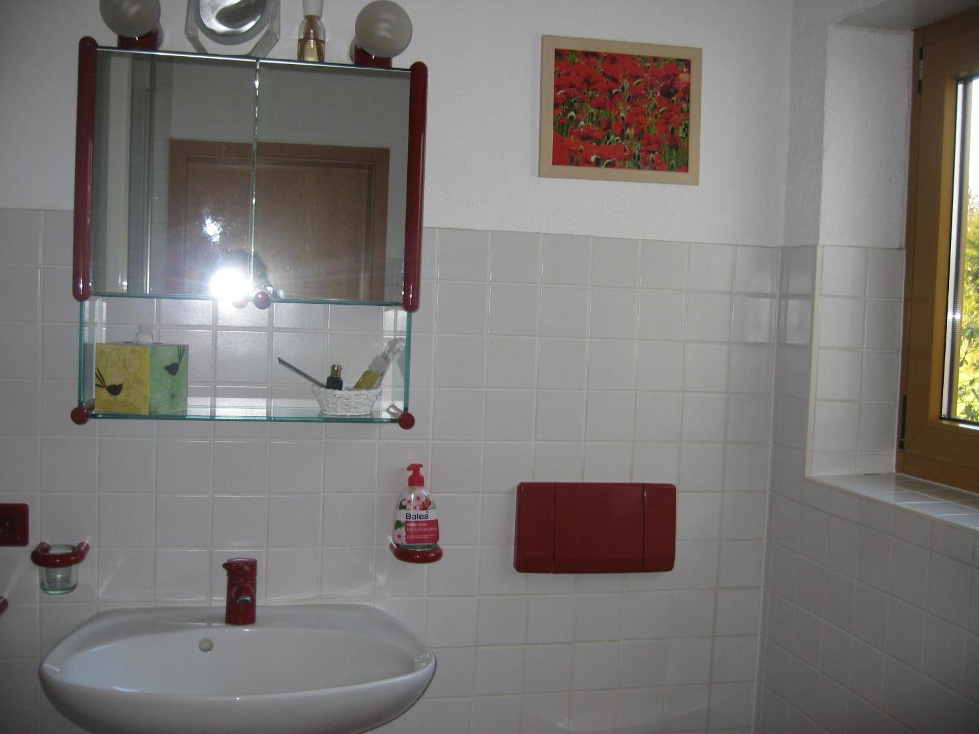 Unterm Nussbaeumle Apartment Adelhausen Ngoại thất bức ảnh